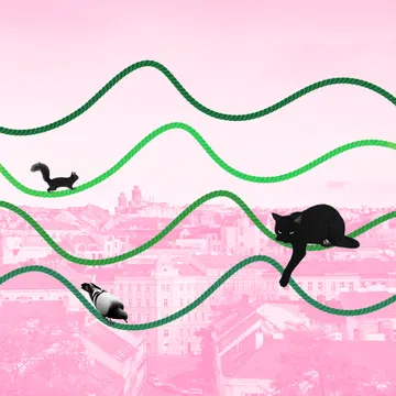 Zelený vlny – obrázek podcastu