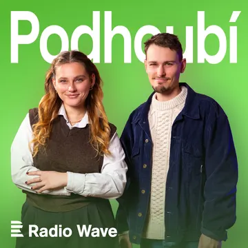 Podhoubí