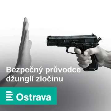 Bezpečný průvodce džunglí zločinu