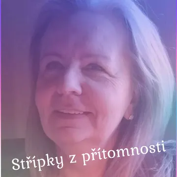 Střípky z přítomnosti