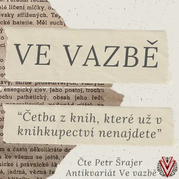 Ve vazbě