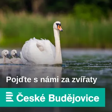 Pojďte s námi za zvířaty – obrázek podcastu
