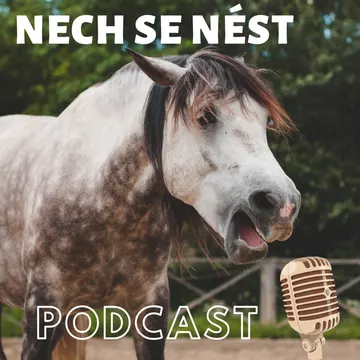 Nech se nést – obrázek podcastu