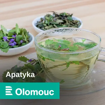 Apatyka