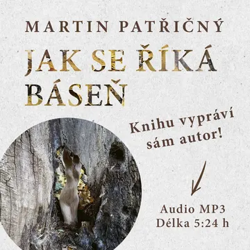 Jak se říká báseň