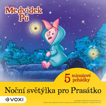Medvídek Pú - 5minutové pohádky - Noční světýlka pro Prasátko (12)