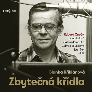 Zbytečná křídla