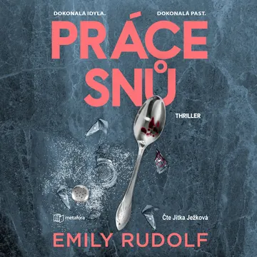 Práce snů