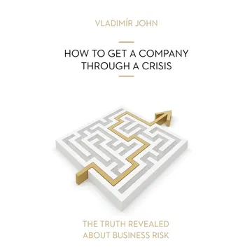 HOW TO GET A COMPANY THROUGH A CRISIS