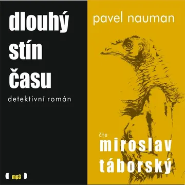 Dlouhý stín času – obálka
