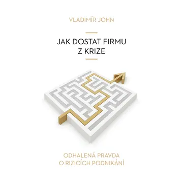 Jak dostat firmu z krize