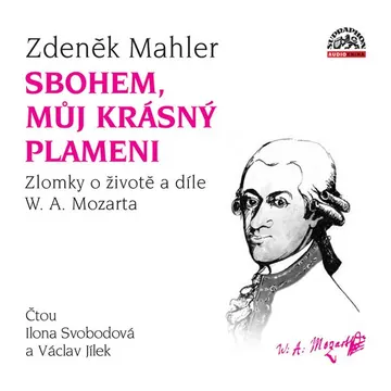 Sbohem, můj krásný plameni