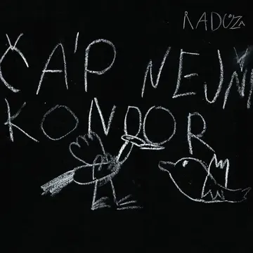 Čáp nejni kondor – obálka