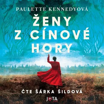 Ženy z Cínové hory – obálka