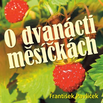 O dvanácti měsíčkách