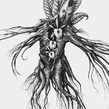 Mandragora – obálka