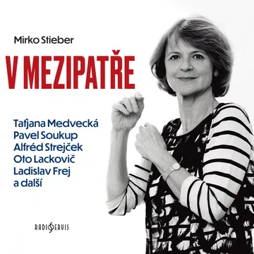 V mezipatře – obálka