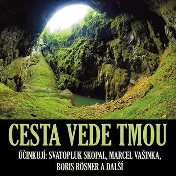 Cesta vede tmou