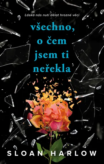 Všechno, o čem jsem ti neřekla – obálka