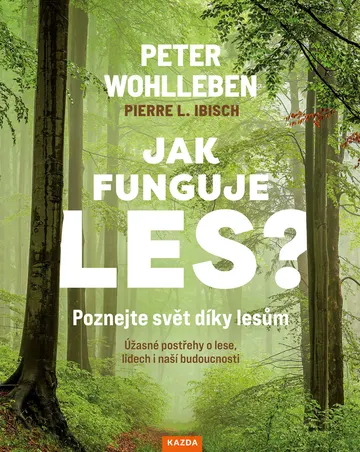 Jak funguje les