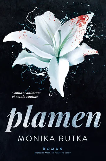 Plamen