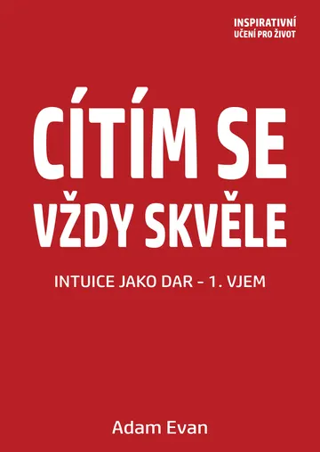 Cítím se vždy skvěle, Intuice jako dar 1. Vjem