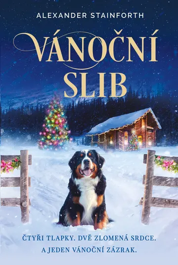 Vánoční slib