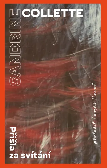 Přišla za svítání – obálka