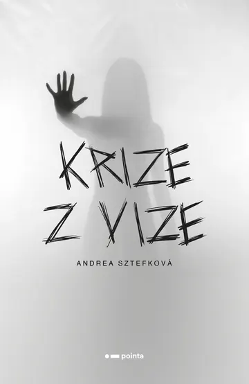 Krize z vize