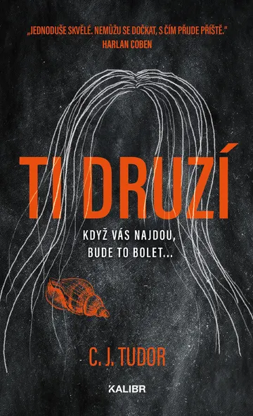 Ti druzí