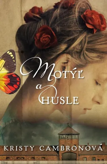 Motýľ a husle – obálka