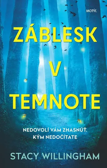 Záblesk v temnote – obálka