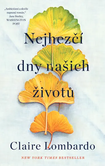 Nejhezčí dny našich životů – obálka