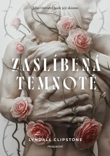 Zaslíbená temnotě – obálka