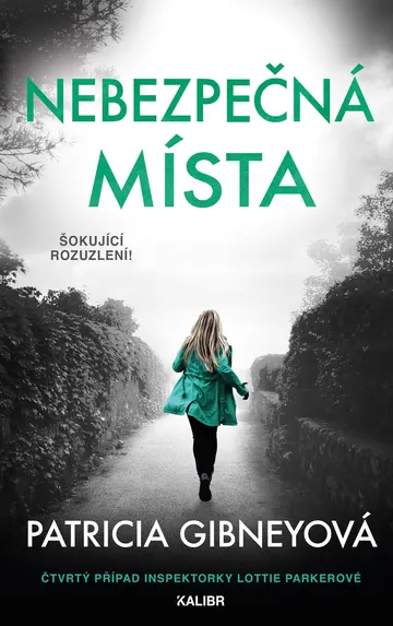 Nebezpečná místa