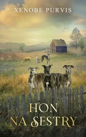 Hon na sestry – obálka