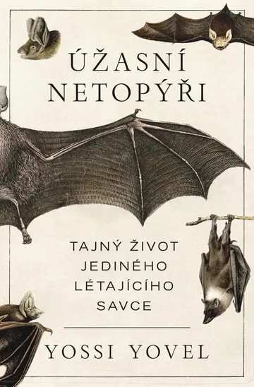 Úžasní netopýři