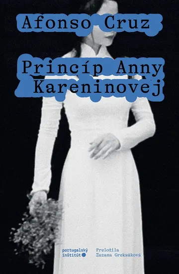Princíp Anny Kareninovej