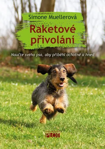 Raketové přivolání