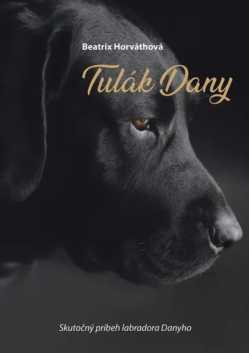Tulák Dany