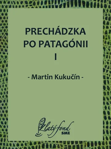 Prechádzka po Patagónii I