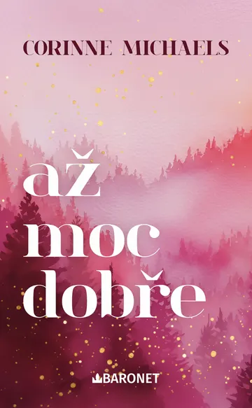 Až moc dobře