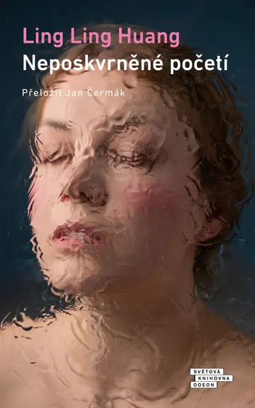 Neposkvrněné početí – obálka