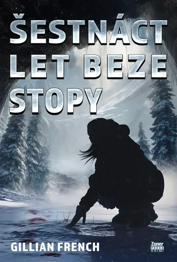 Šestnáct let beze stopy – obálka
