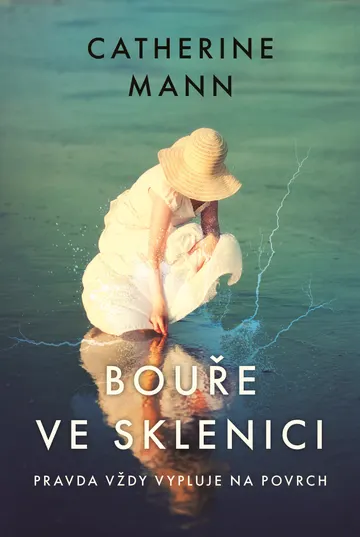 Bouře ve sklenici – obálka