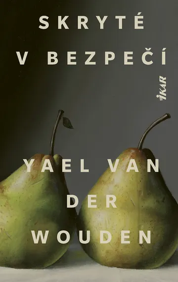 Skryté v bezpečí – obálka