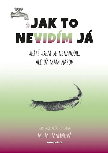 Jak to nevidím já