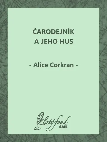 Čarodejník a jeho hus – obálka