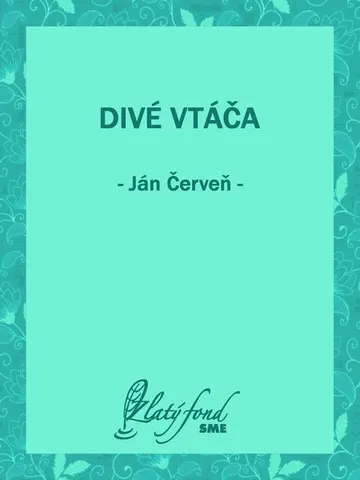 Divé vtáča – obálka