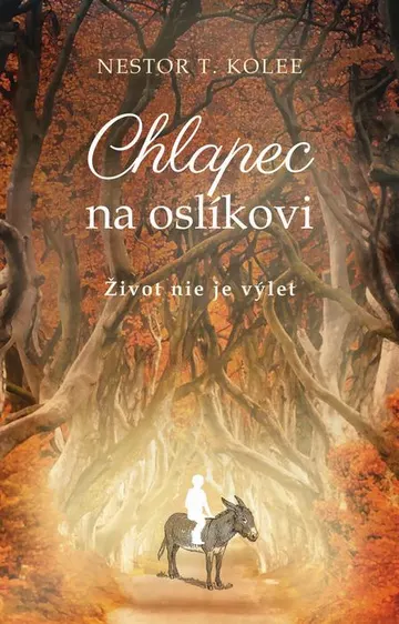 Chlapec na oslíkovi – obálka